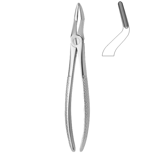 Extracting Forceps