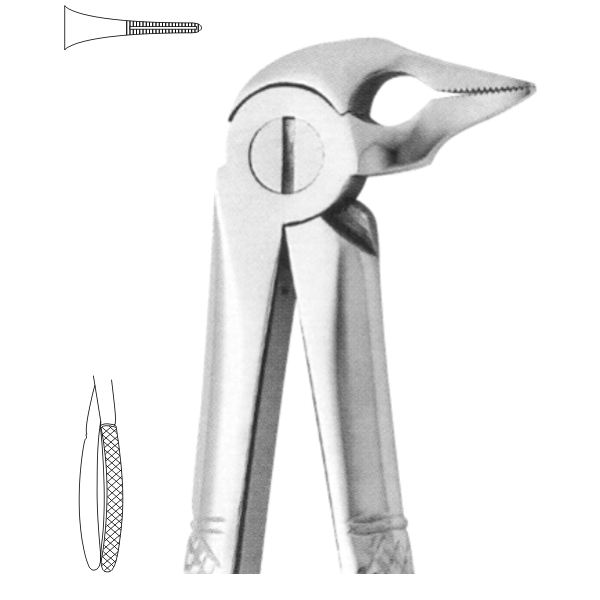 Extracting Forceps