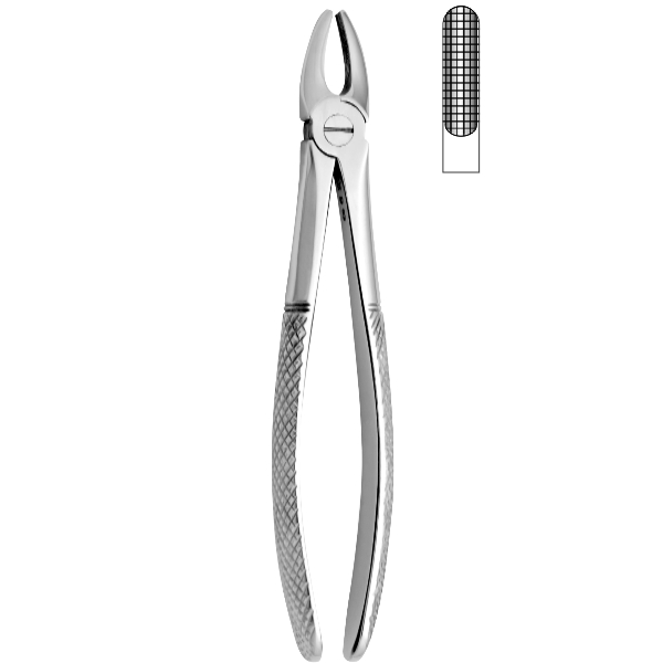 Extracting Forceps