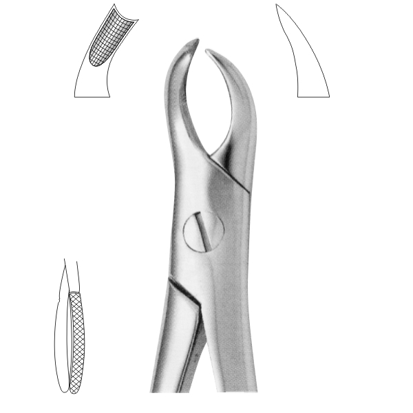 Extracting Forceps