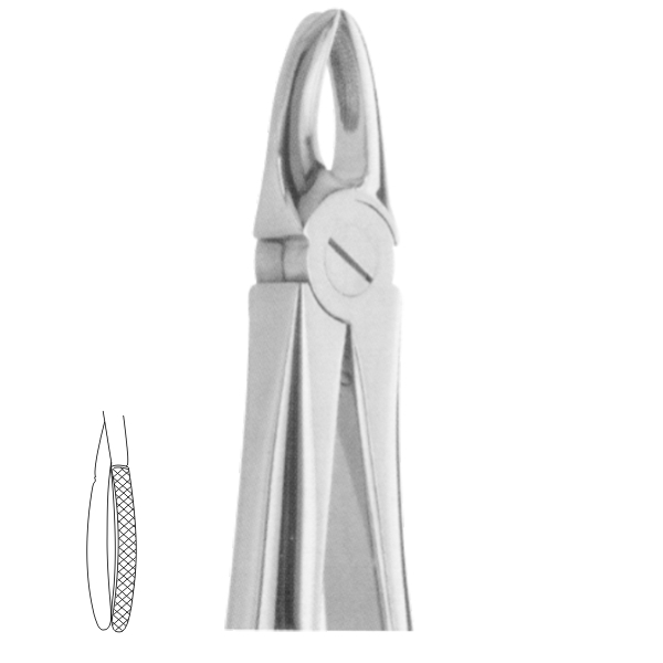 Extracting Forceps