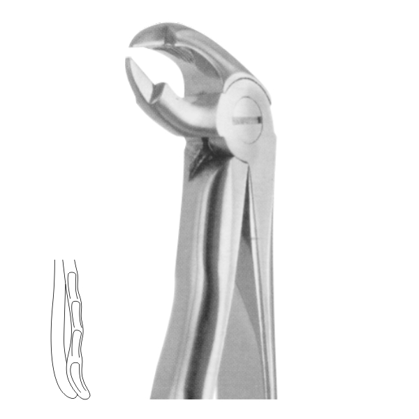 Extracting Forceps