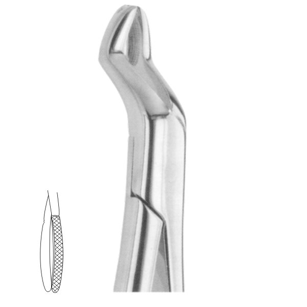 Extracting Forceps