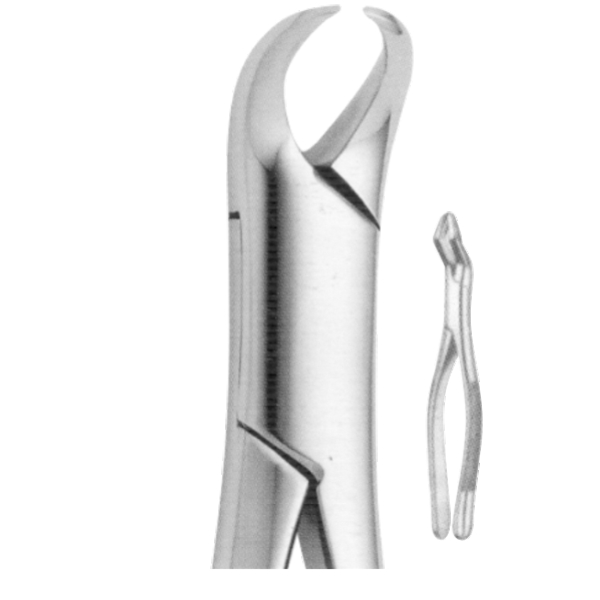 Extracting Forceps