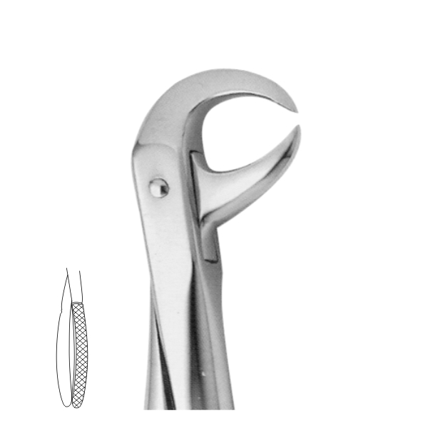 Extracting Forceps