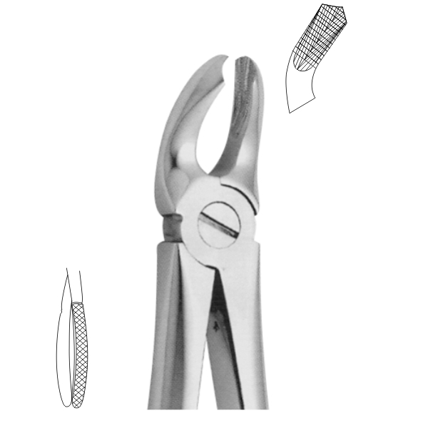 Extracting Forceps