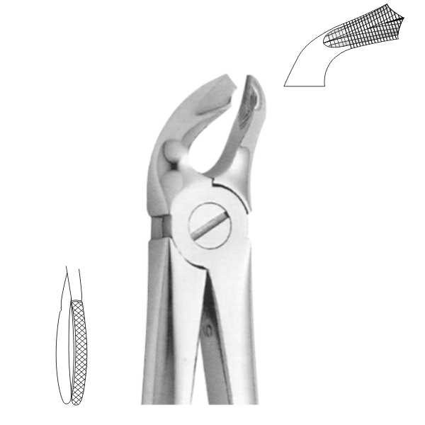 Extracting Forceps