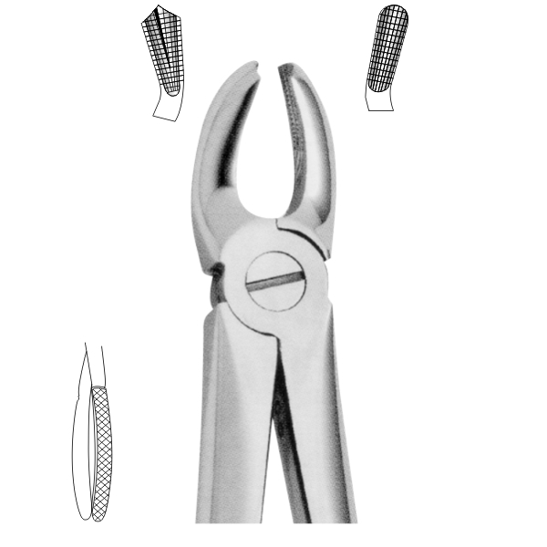 Extracting Forceps