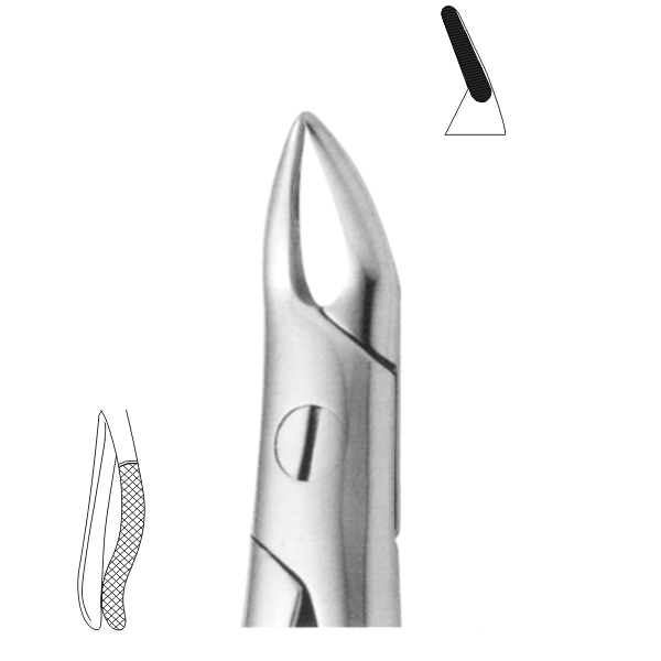 Extracting Forceps