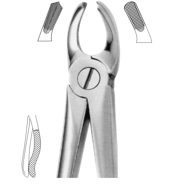 Extracting Forceps