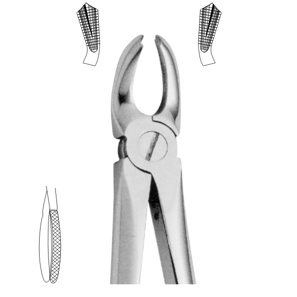 Extracting Forceps