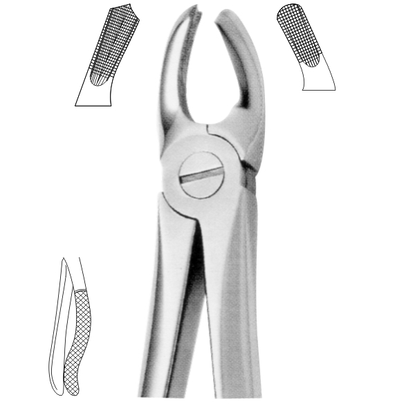 Extracting Forceps