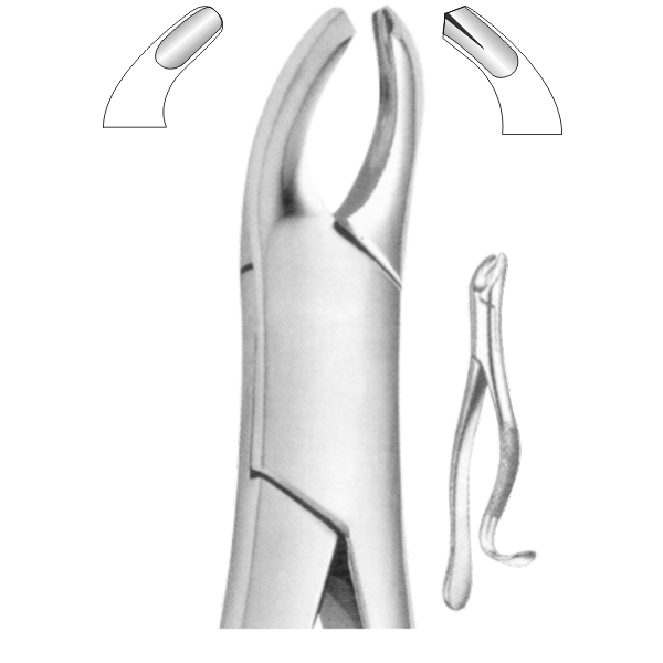 Extracting Forceps