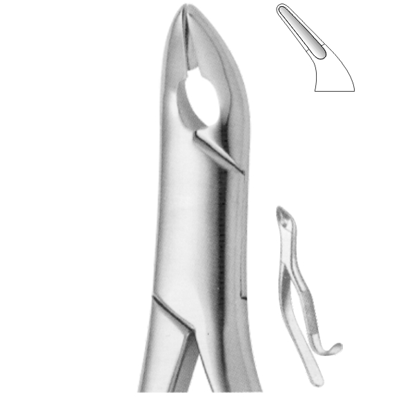 Extracting Forceps