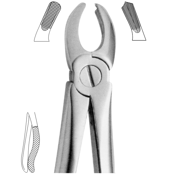 Extracting Forceps