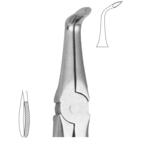 Extracting Forceps