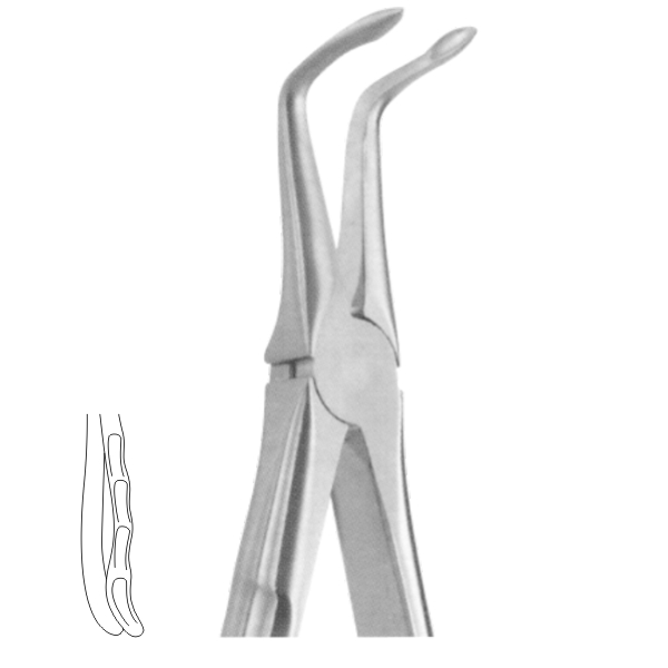 Extracting Forceps