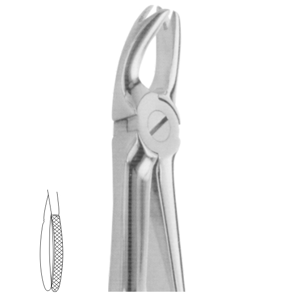 Extracting Forceps