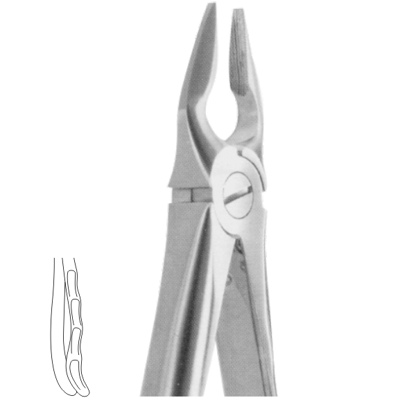 Extracting Forceps