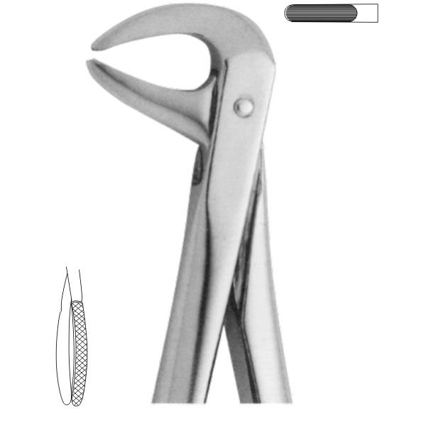 Extracting Forceps