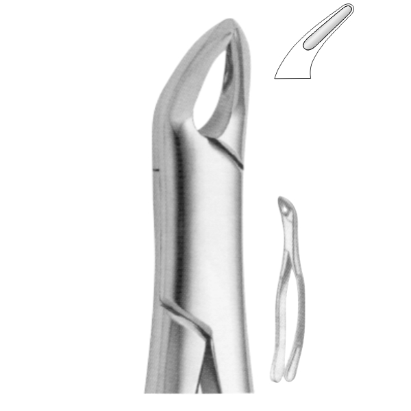 Extracting Forceps