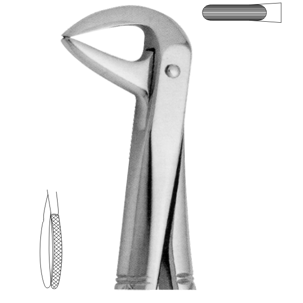 Extracting Forceps