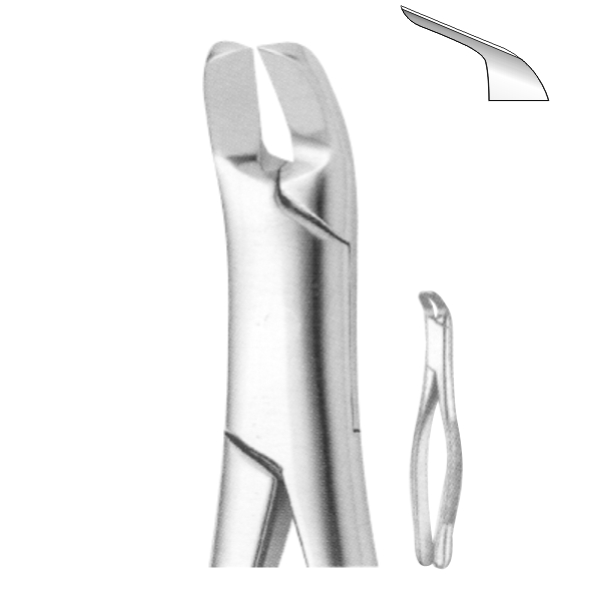 Extracting Forceps