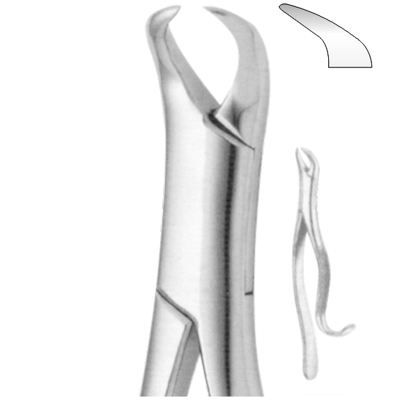 Extracting Forceps