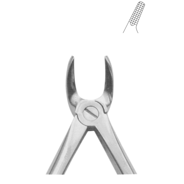 Pedodontic Forceps