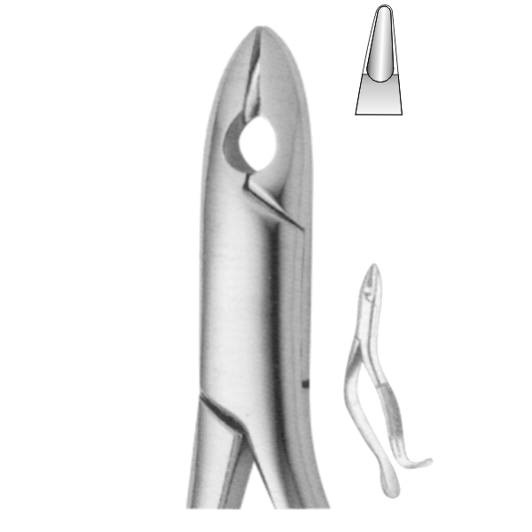 Extracting Forceps