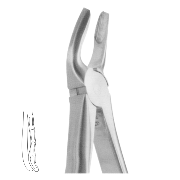 Extracting Forceps