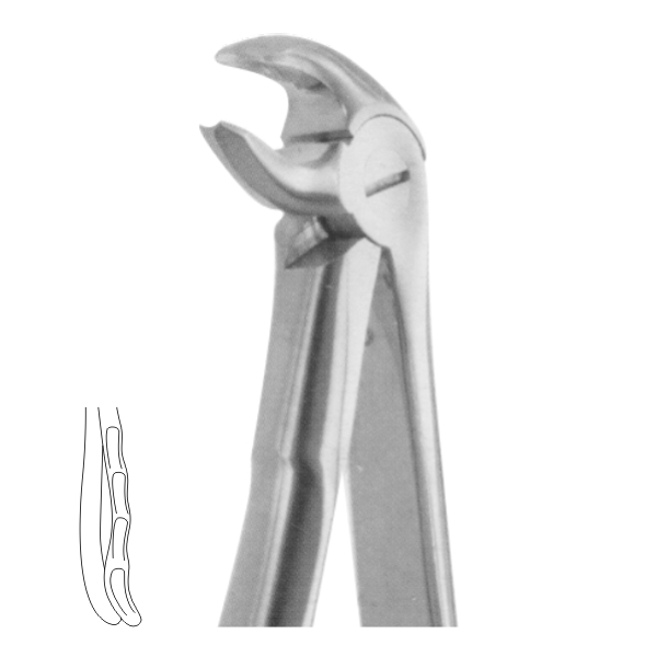 Extracting Forceps