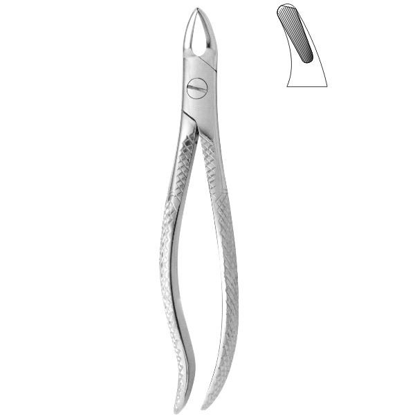 Extracting Forceps