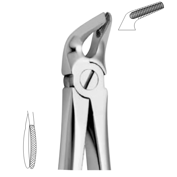 Extracting Forceps