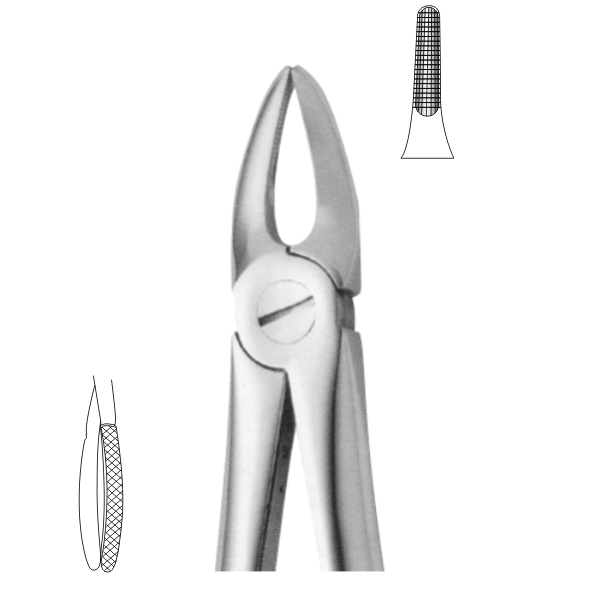 Extracting Forceps