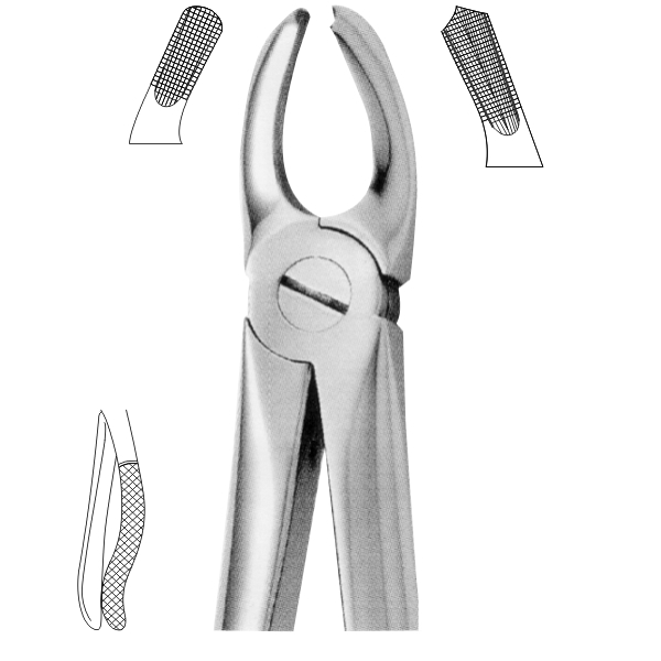 Extracting Forceps