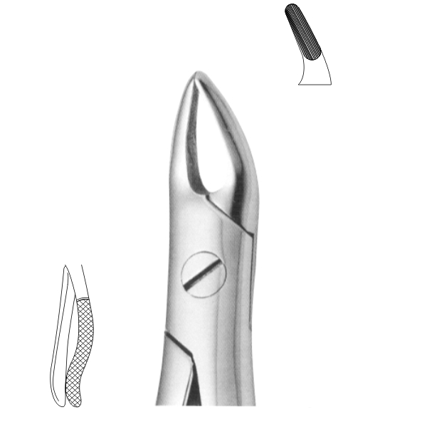 Extracting Forceps