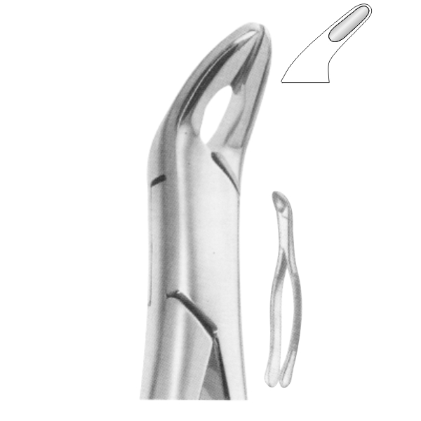 Extracting Forceps